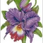 cross-stitch pattern "Irises"