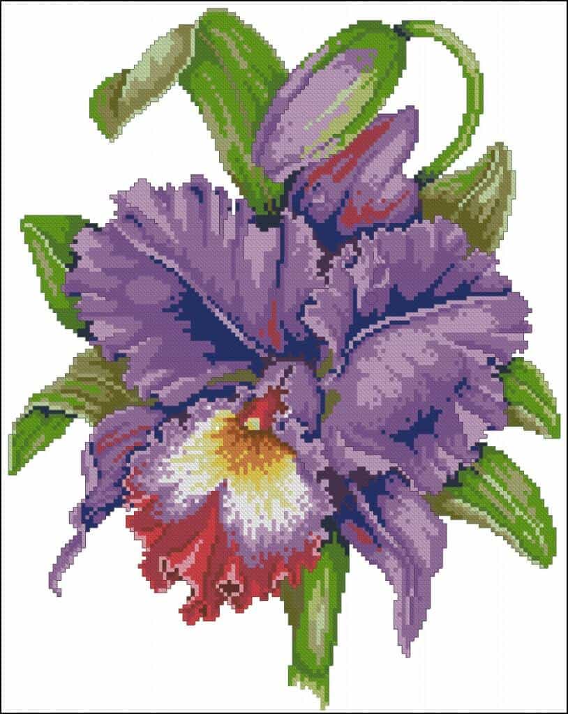 cross-stitch pattern "Irises"