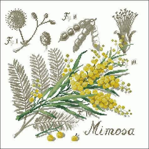 free cross-stitch pattern Mimosa