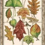 Free cross-stitch pattern "Autumn leaves"