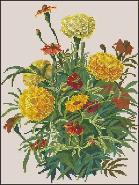 free cross stitch pattern marigold flowers
