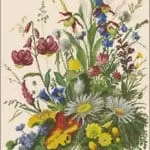 free-cross-stitch-pattern-summer-flowers