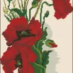 Delight. Red poppies-free cross-stitch design