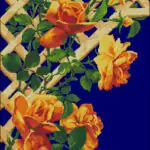Roses on a pergola-cross-stitch design