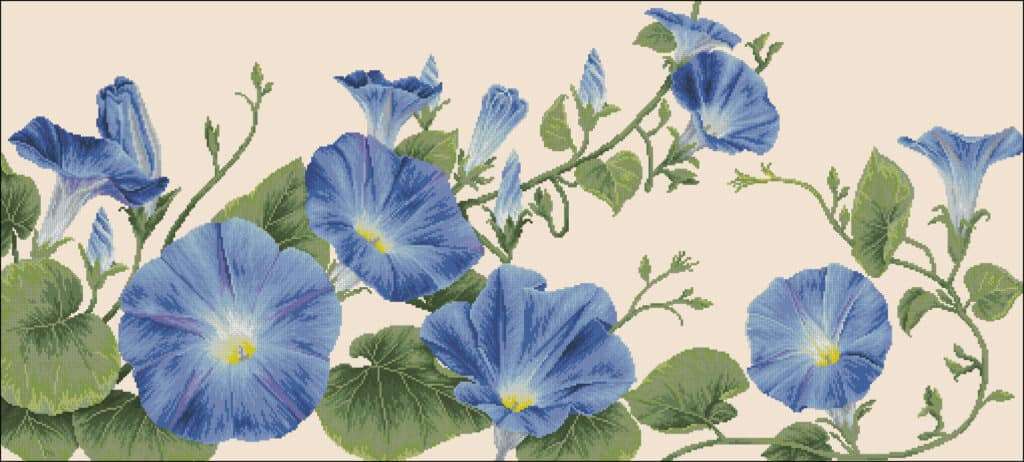 Morning glory flower-cross-stitch pattern