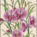 Orchid-free cross-stitch pattern
