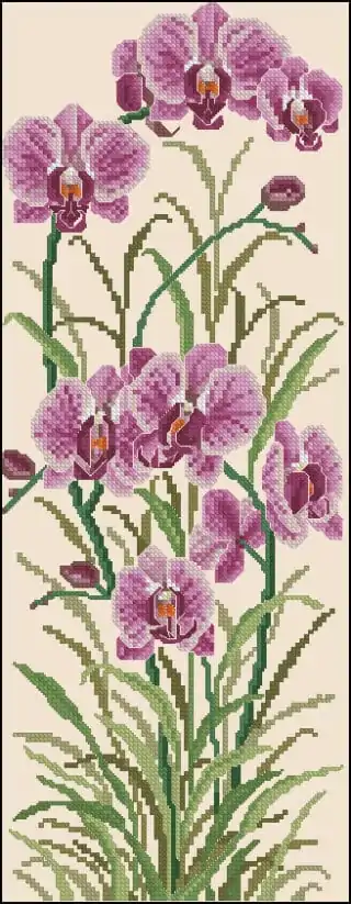 Orchid-free Cross-stitch Pattern - Free Cross-stitch Patterns